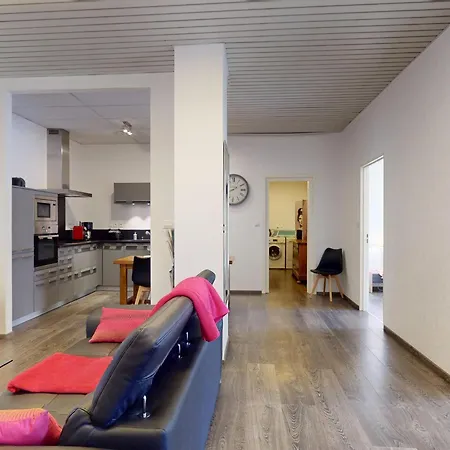 Renove, 3 Ch. Avec Parking Prive, Hyper-centre - Fr-1-744-36 * Colmar