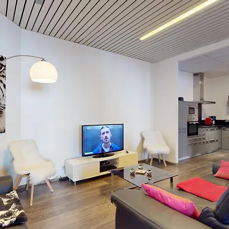 Renove, 3 Ch. Avec Parking Prive, Hyper-centre Colmar